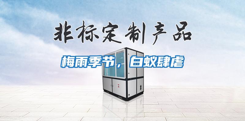 梅雨季節(jié)，白蟻肆虐