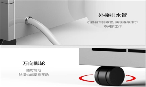 地下室潮濕頑疾，除濕機到即刻除
