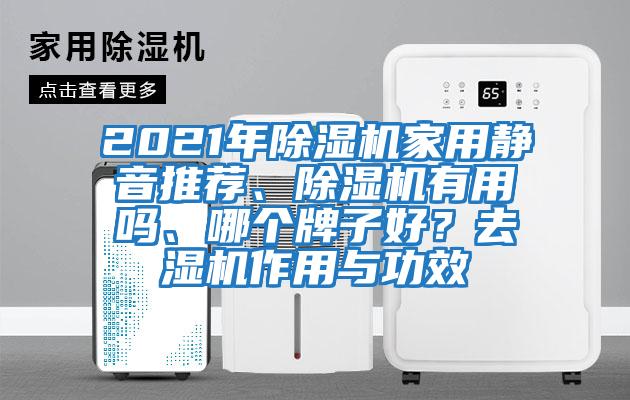 2021年除濕機家用靜音推薦、除濕機有用嗎、哪個牌子好？去濕機作用與功效