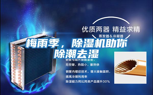 梅雨季，除濕機助你除潮去濕