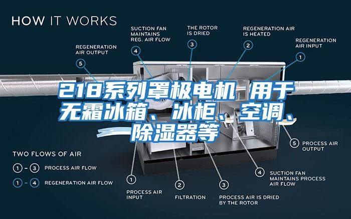 218系列罩極電機(jī) 用于無霜冰箱、冰柜、空調(diào)、除濕器等