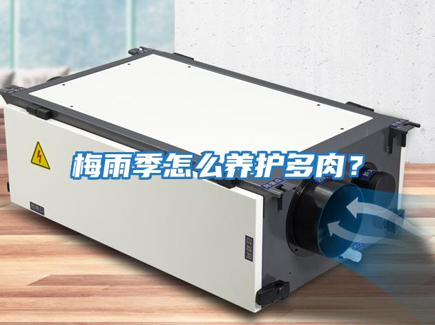 梅雨季怎么養(yǎng)護多肉?
