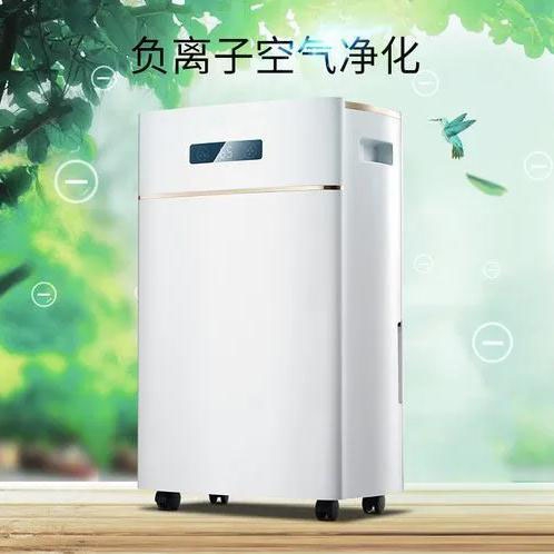 三伏天怎么去除體內的濕氣？