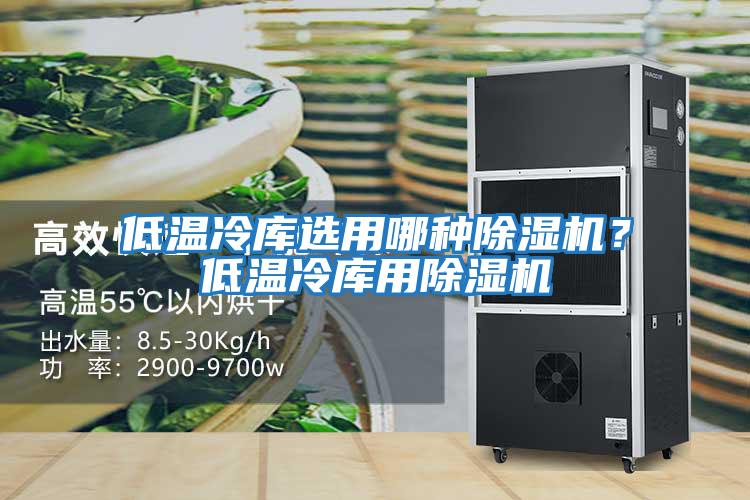 低溫冷庫選用哪種除濕機？低溫冷庫用除濕機