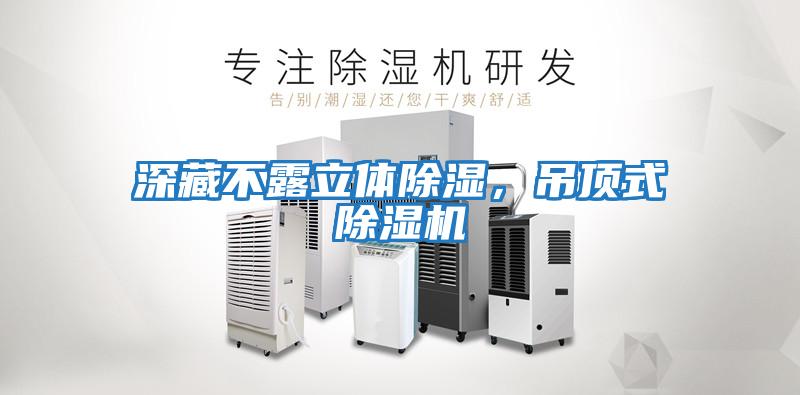 深藏不露立體除濕，吊頂式除濕機(jī)