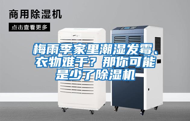 梅雨季家里潮濕發(fā)霉、衣物難干？那你可能是少了除濕機(jī)