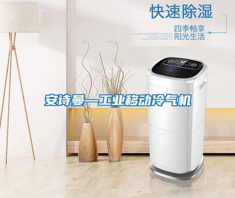 安詩曼—工業(yè)移動冷氣機