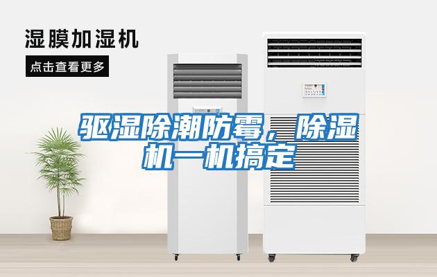 驅濕除潮防霉，除濕機一機搞定