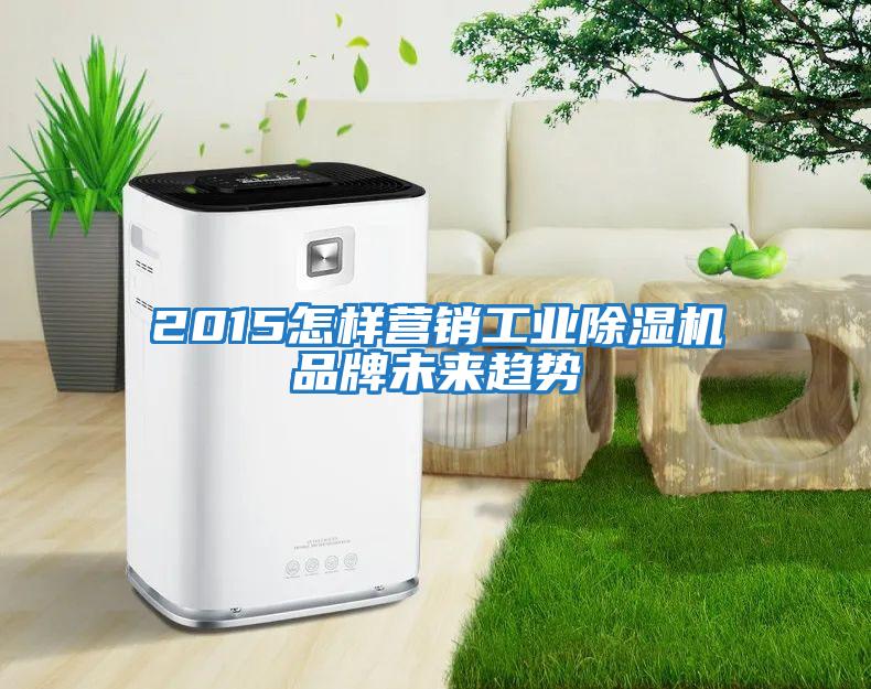 2015怎樣營銷工業(yè)除濕機(jī)品牌未來趨勢