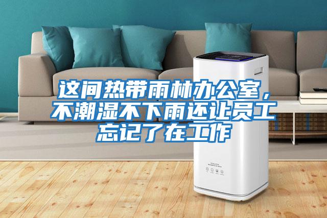 這間熱帶雨林辦公室，不潮濕不下雨還讓員工忘記了在工作