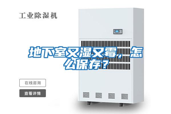 地下室又濕又霉，怎么保存？
