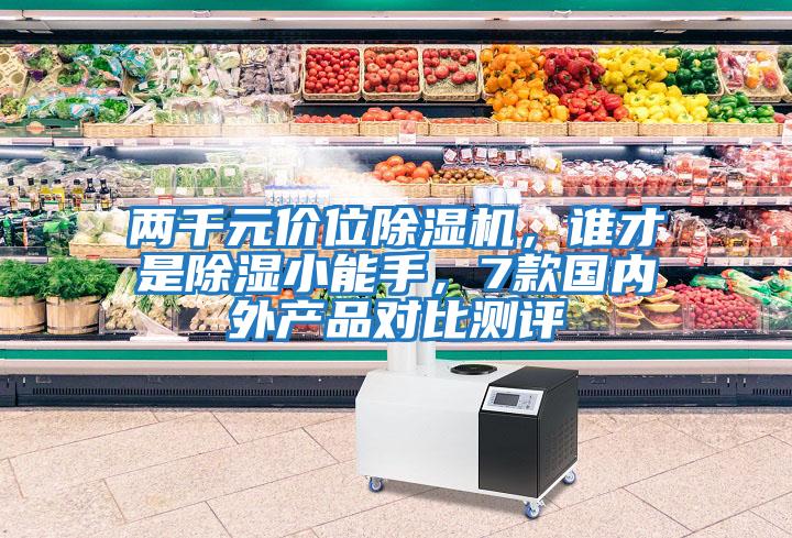 兩千元價位除濕機，誰才是除濕小能手，7款國內外產品對比測評