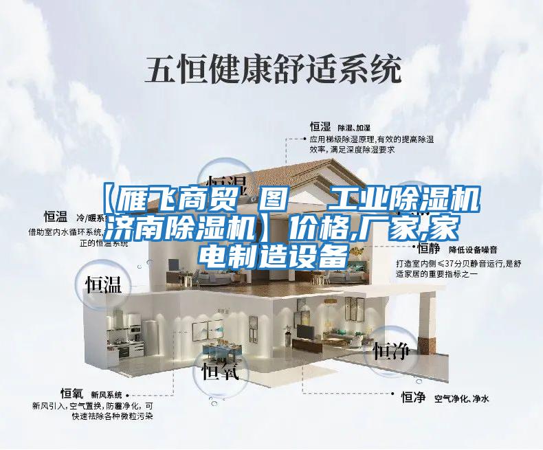 【雁飛商貿(mào) 圖  工業(yè)除濕機(jī) 濟(jì)南除濕機(jī)】?jī)r(jià)格,廠家,家電制造設(shè)備