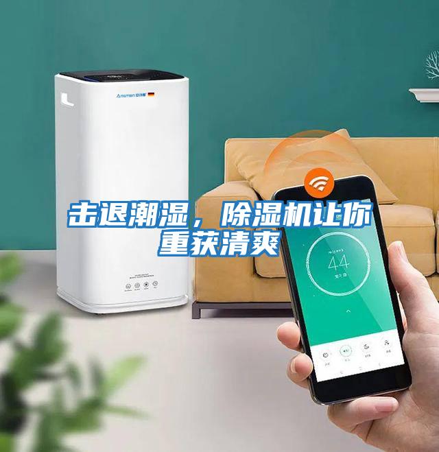 擊退潮濕，除濕機讓你重獲清爽