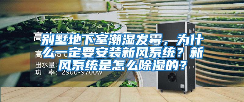 別墅地下室潮濕發霉，為什么一定要安裝新風系統？新風系統是怎么除濕的？