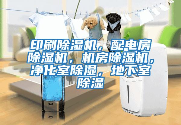 印刷除濕機，配電房除濕機，機房除濕機，凈化室除濕，地下室除濕