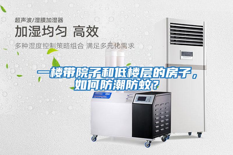 一樓帶院子和低樓層的房子，如何防潮防蚊？