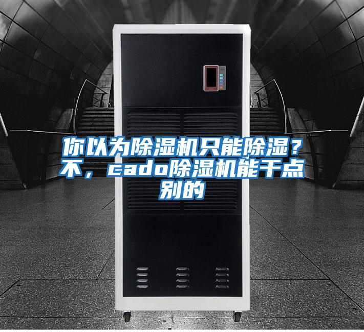 你以為除濕機只能除濕？不，cado除濕機能干點別的