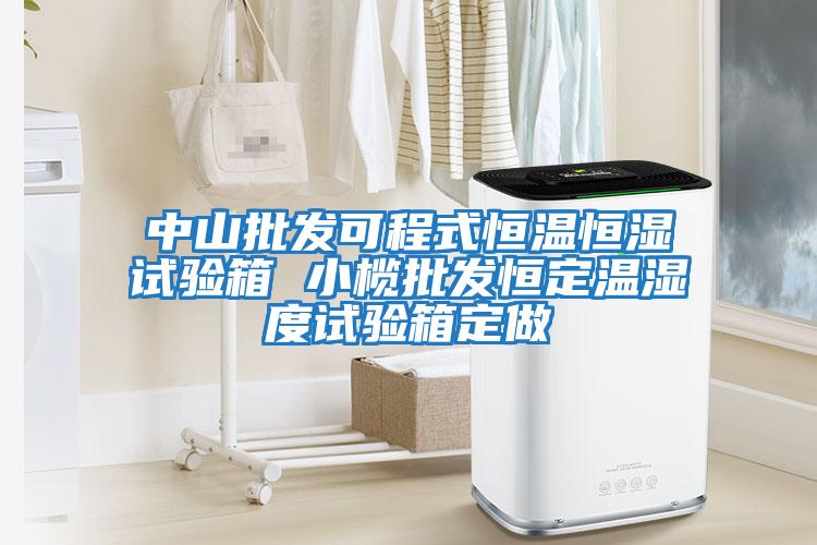 中山批發(fā)可程式恒溫恒濕試驗箱 小欖批發(fā)恒定溫濕度試驗箱定做