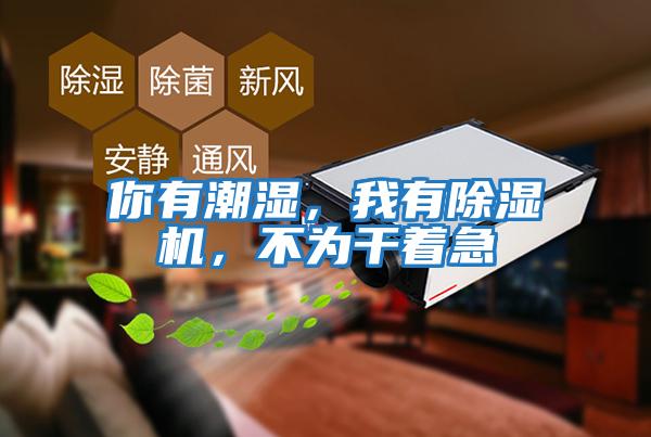 你有潮濕，我有除濕機(jī)，不為干著急
