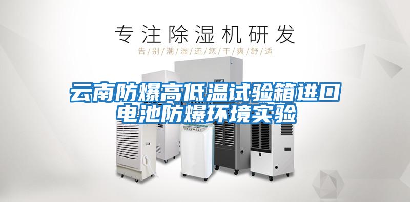云南防爆高低溫試驗箱進口電池防爆環境實驗