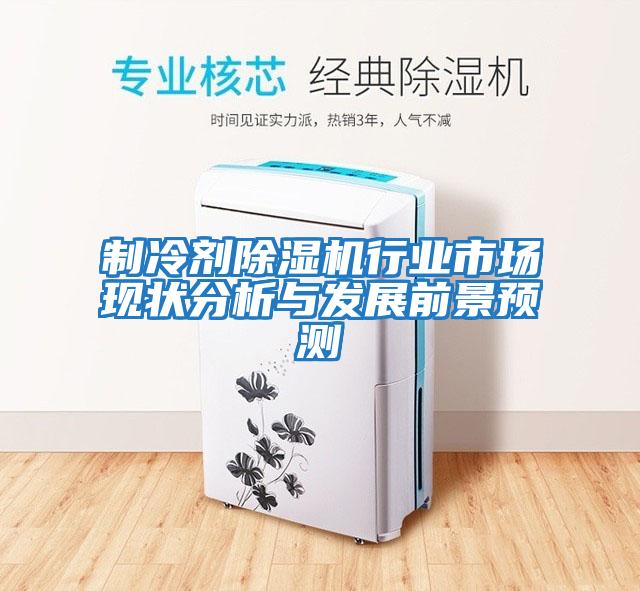 制冷劑除濕機行業(yè)市場現狀分析與發(fā)展前景預測