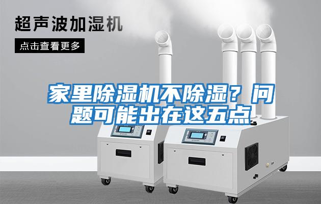 家里除濕機(jī)不除濕？問題可能出在這五點(diǎn)