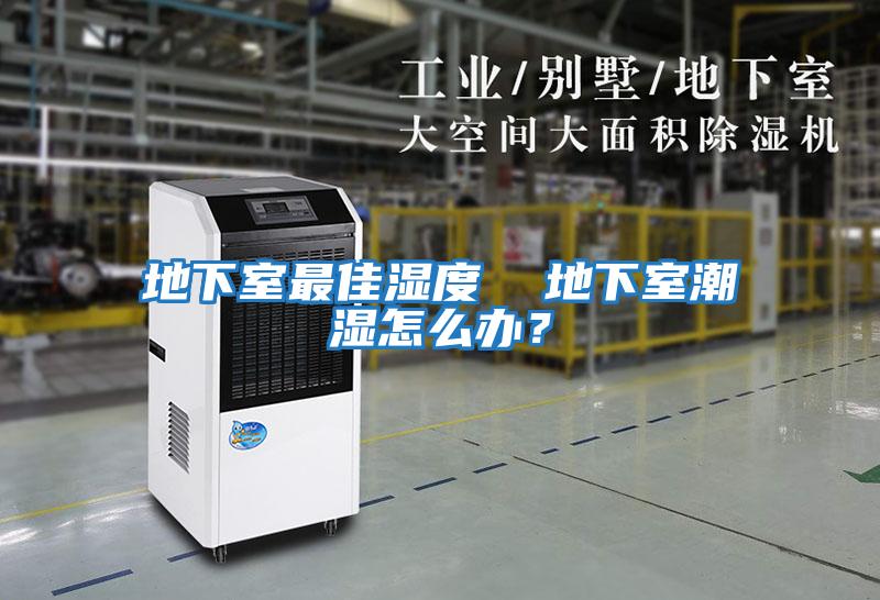 地下室最佳濕度  地下室潮濕怎么辦？
