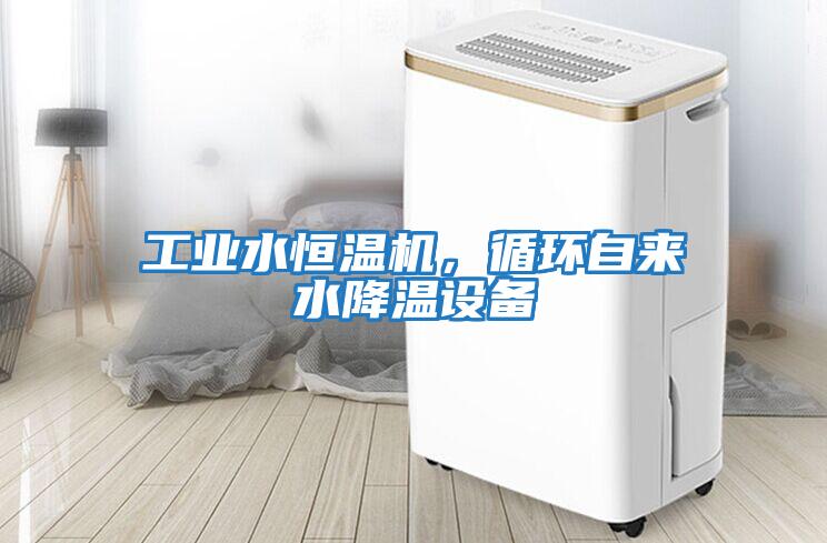 工業(yè)水恒溫機(jī)，循環(huán)自來水降溫設(shè)備