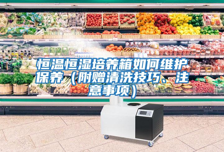 恒溫恒濕培養(yǎng)箱如何維護(hù)保養(yǎng)（附贈(zèng)清洗技巧、注意事項(xiàng)）