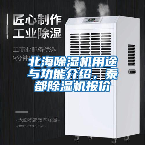 北海除濕機用途與功能介紹，泰都除濕機報價