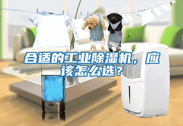 合適的工業除濕機，應該怎么選？