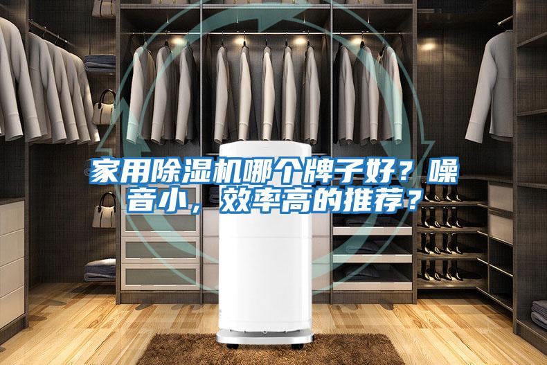 家用除濕機哪個牌子好？噪音小，效率高的推薦？