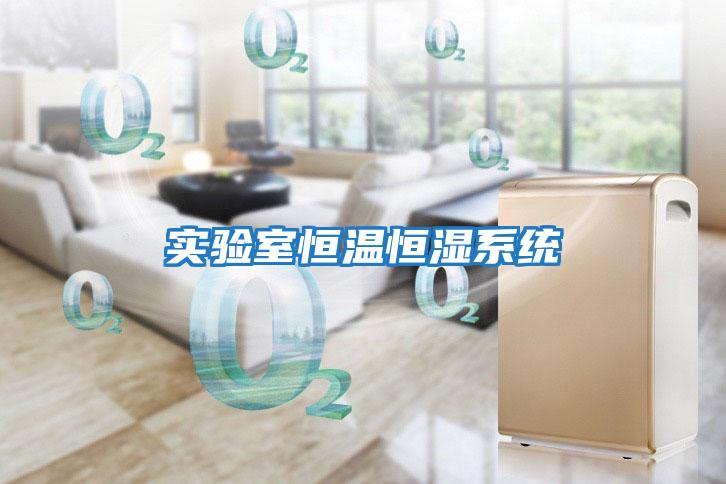 實驗室恒溫恒濕系統