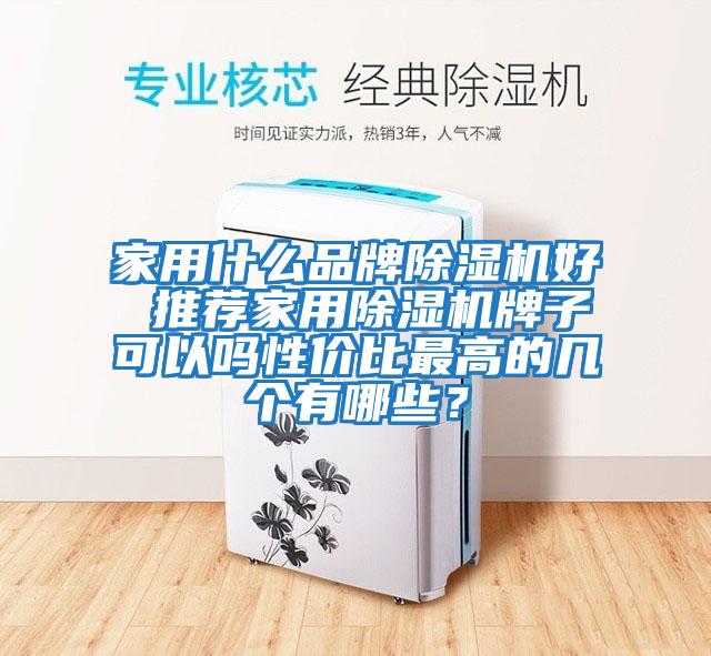 家用什么品牌除濕機好 推薦家用除濕機牌子可以嗎性價比最高的幾個有哪些？
