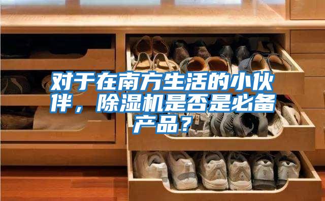對(duì)于在南方生活的小伙伴，除濕機(jī)是否是必備產(chǎn)品？