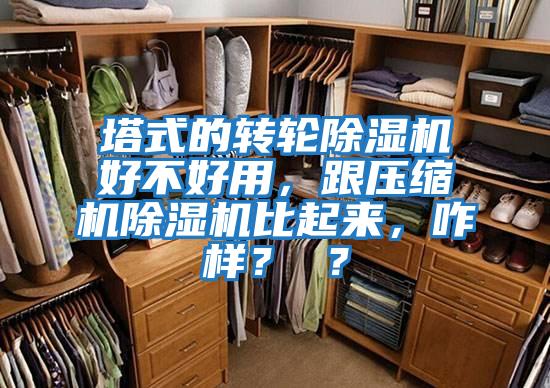 塔式的轉(zhuǎn)輪除濕機好不好用，跟壓縮機除濕機比起來，咋樣？ ？