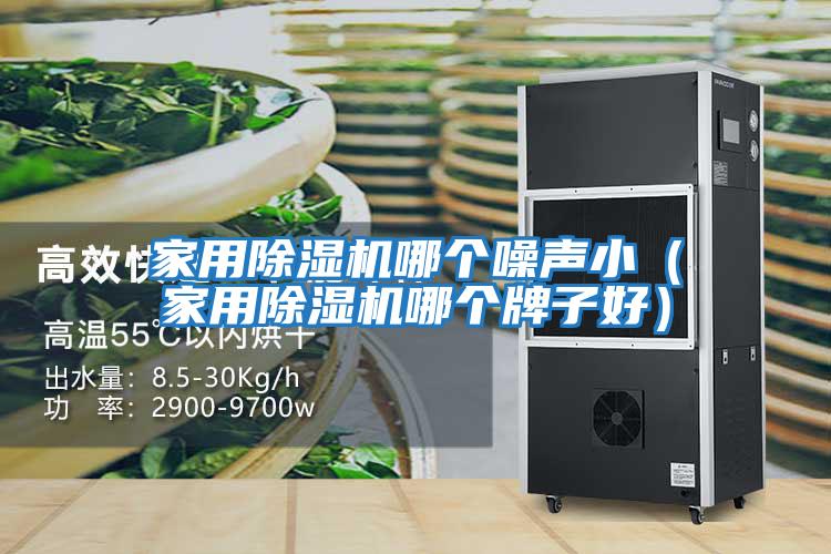 家用除濕機哪個噪聲?。矣贸凉駲C哪個牌子好）