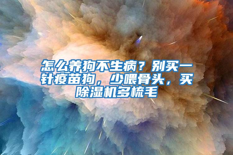 怎么養狗不生病？別買一針疫苗狗，少喂骨頭，買除濕機多梳毛