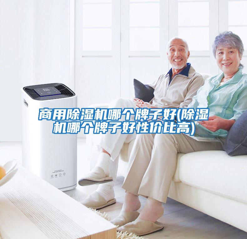 商用除濕機(jī)哪個牌子好(除濕機(jī)哪個牌子好性價比高)