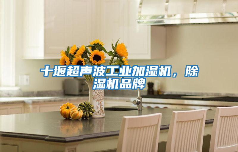 十堰超聲波工業(yè)加濕機(jī)，除濕機(jī)品牌