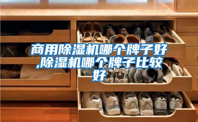 商用除濕機(jī)哪個牌子好,除濕機(jī)哪個牌子比較好