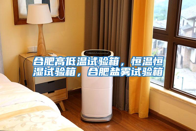 合肥高低溫試驗(yàn)箱，恒溫恒濕試驗(yàn)箱，合肥鹽霧試驗(yàn)箱