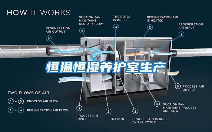 恒溫恒濕養(yǎng)護室生產