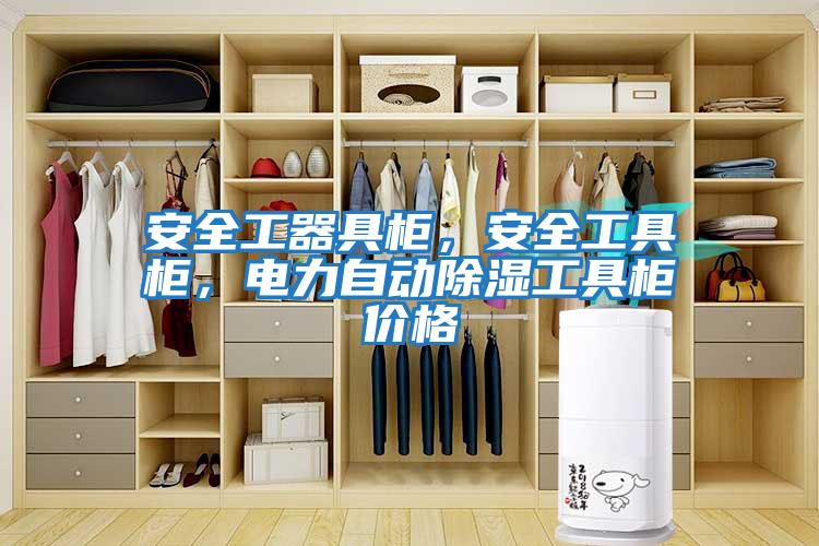 安全工器具柜，安全工具柜，電力自動除濕工具柜價格