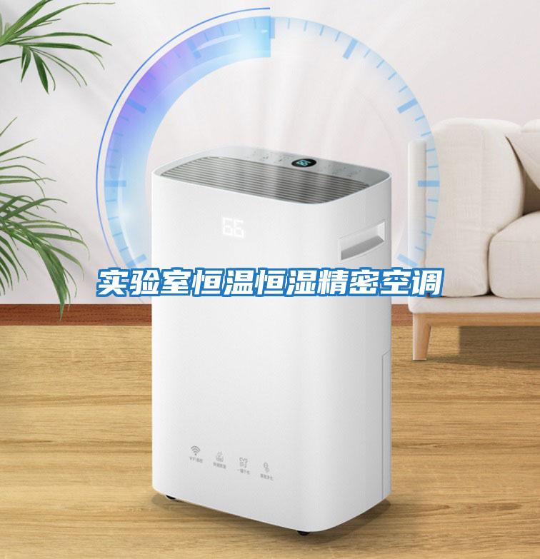 實驗室恒溫恒濕精密空調
