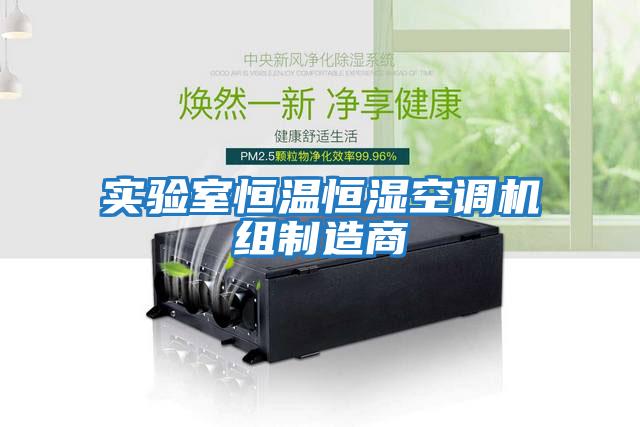 實驗室恒溫恒濕空調(diào)機(jī)組制造商