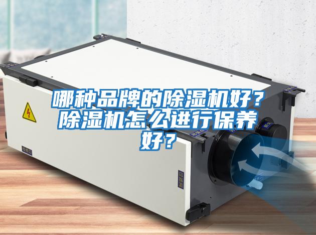 哪種品牌的除濕機好？除濕機怎么進行保養好？