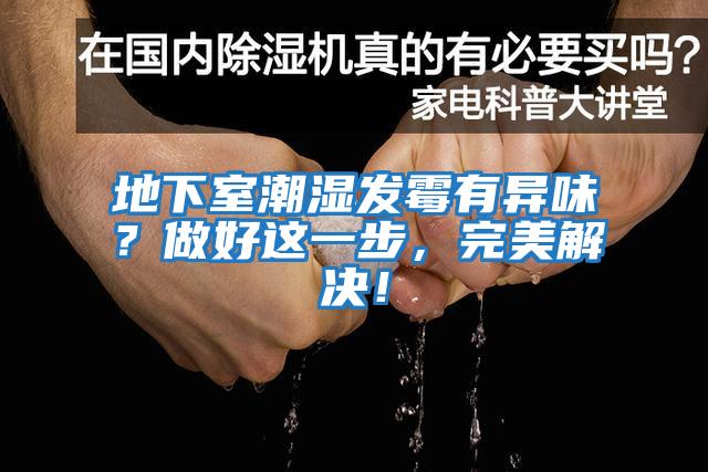 地下室潮濕發霉有異味？做好這一步，完美解決！