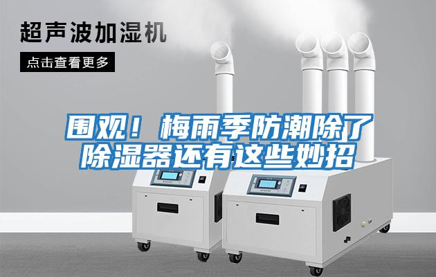 圍觀！梅雨季防潮除了除濕器還有這些妙招